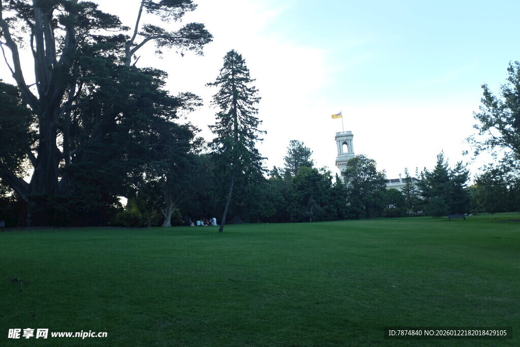 绿意盎然的户外草坪场景