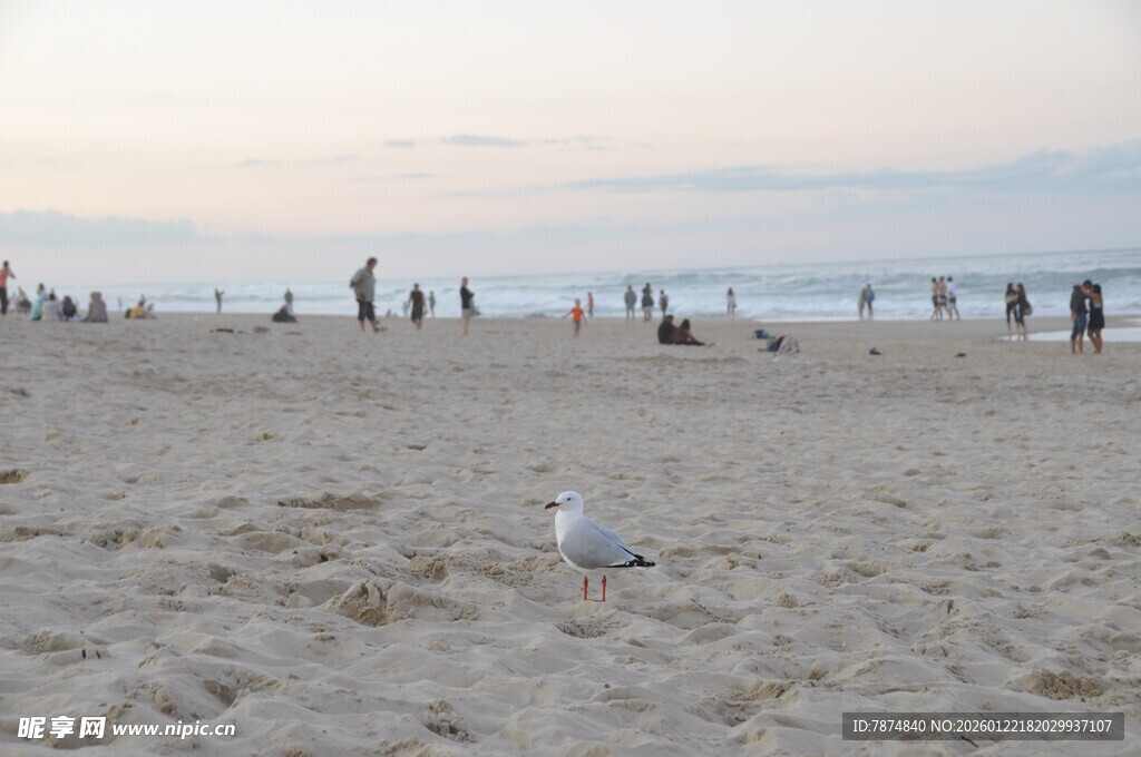 黄昏下的热闹沙滩
