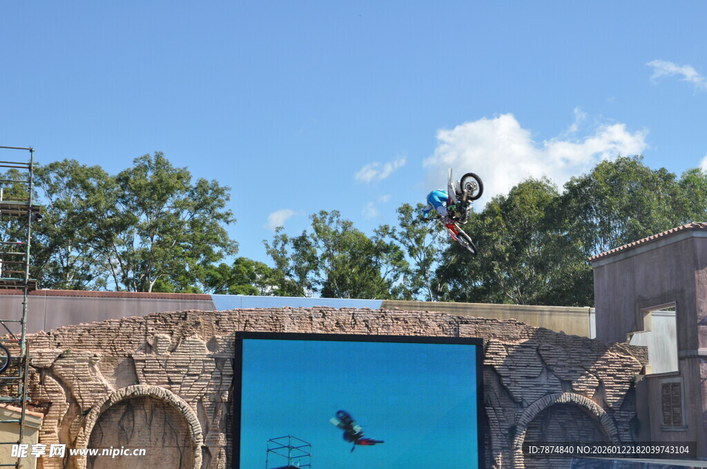 海豚在空中跃起表演