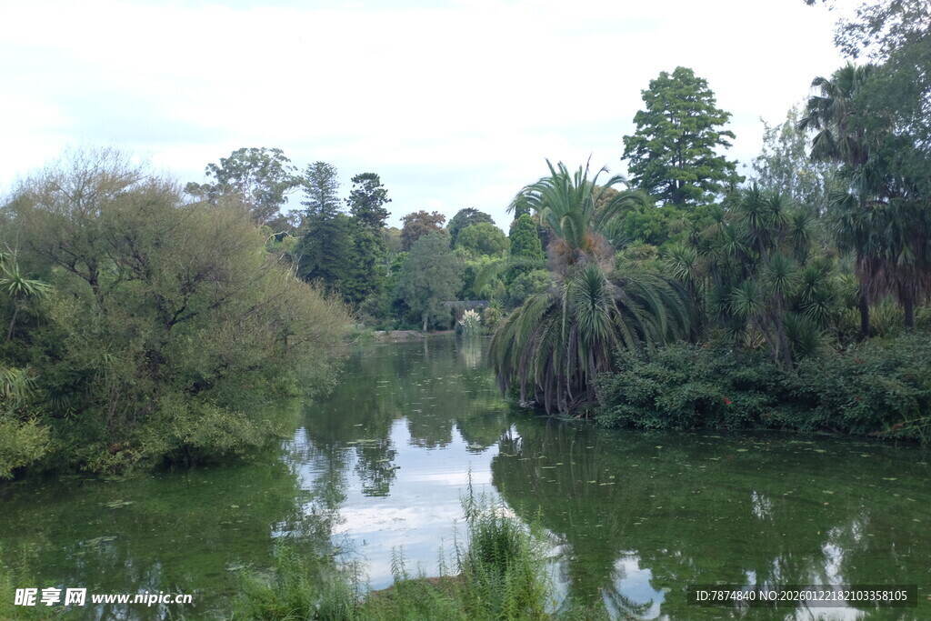 宁静河畔的自然绿意风光