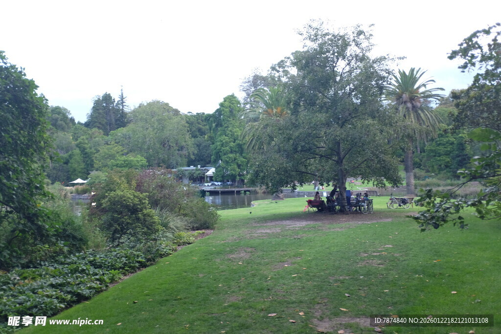 绿意盎然的户外公园景致