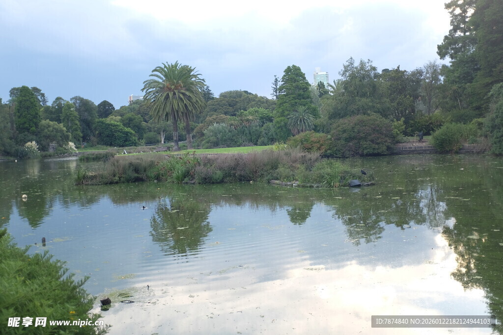 宁静湖畔自然风光