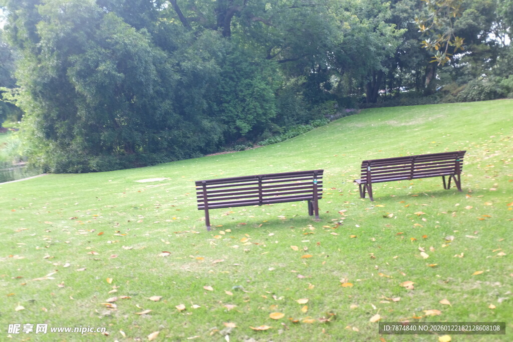 草地上的两张长椅