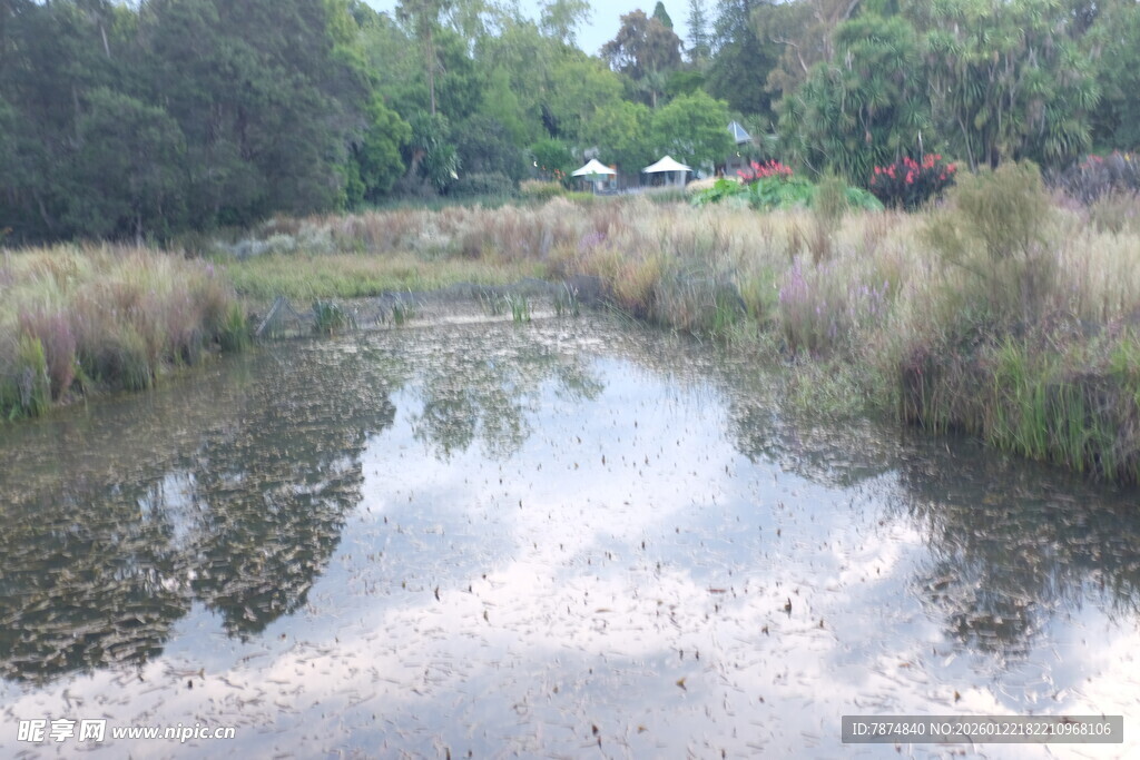 乡村静谧小河风景