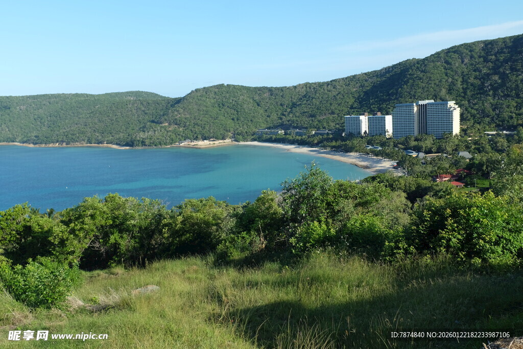 海滨风光 绿树环绕的度假地