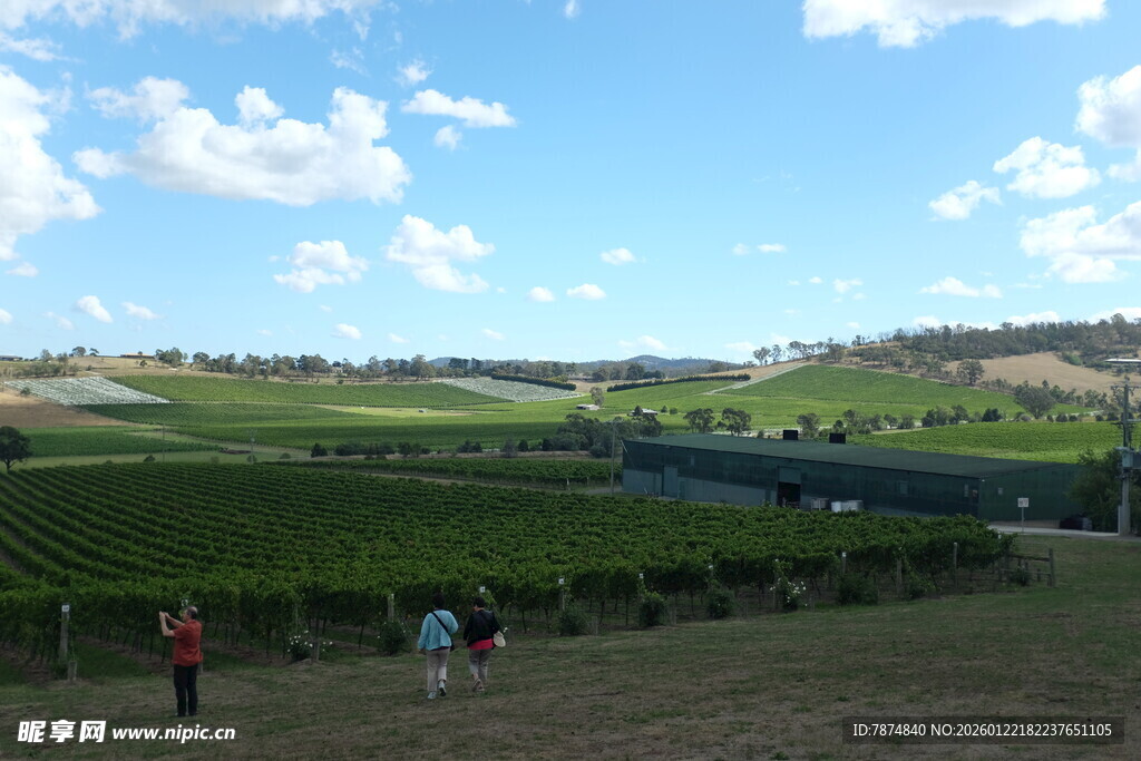 田园风光下的惬意漫步
