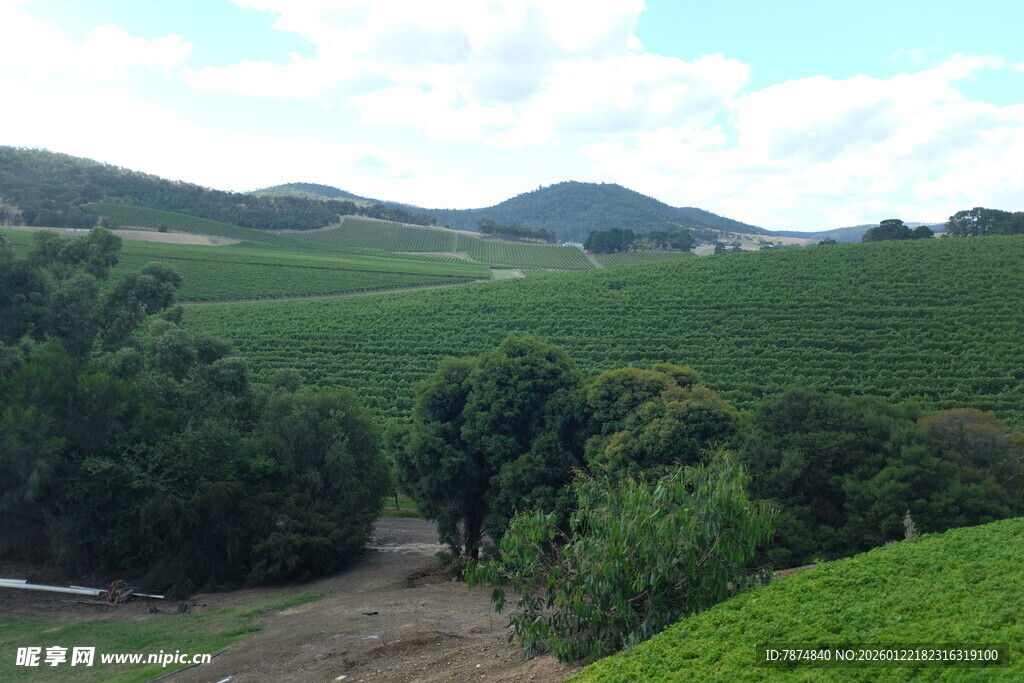 山间绿意盎然的田园风光