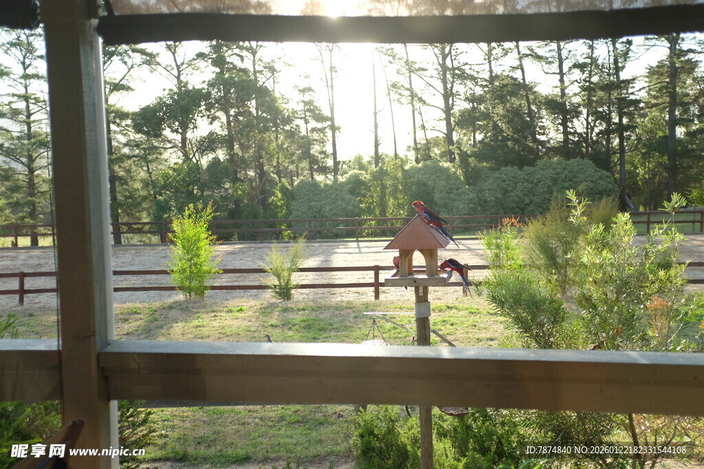 透过窗看户外骑马场景
