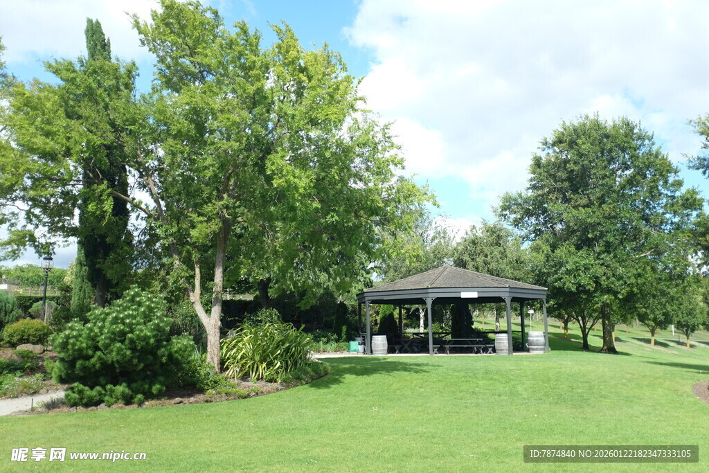 绿意盎然的庭院景观