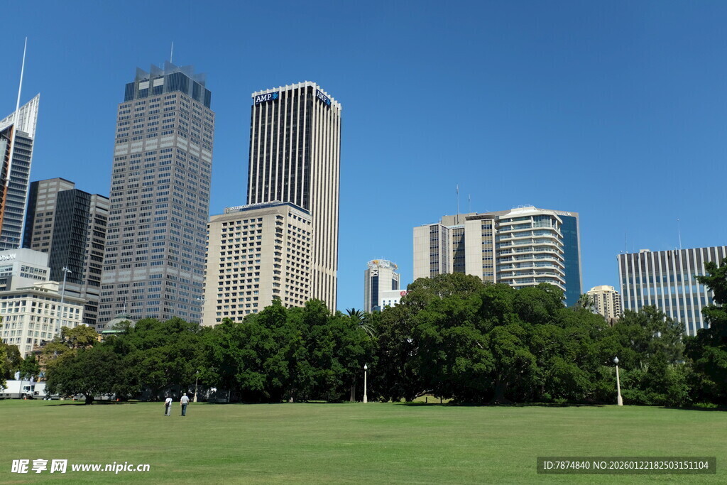 城市绿地与林立高楼景观