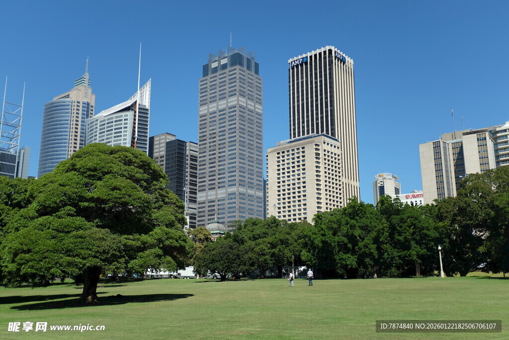 城市绿地旁的摩天大楼景观