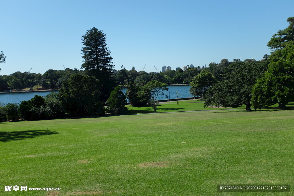 湖畔绿草地美景