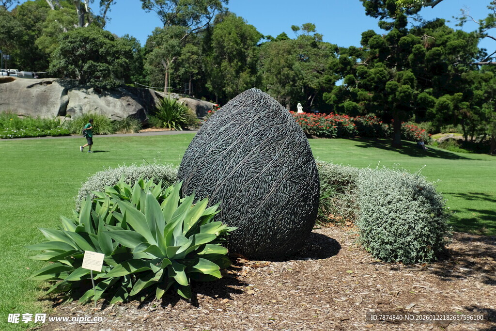 花园中的独特巨石景观