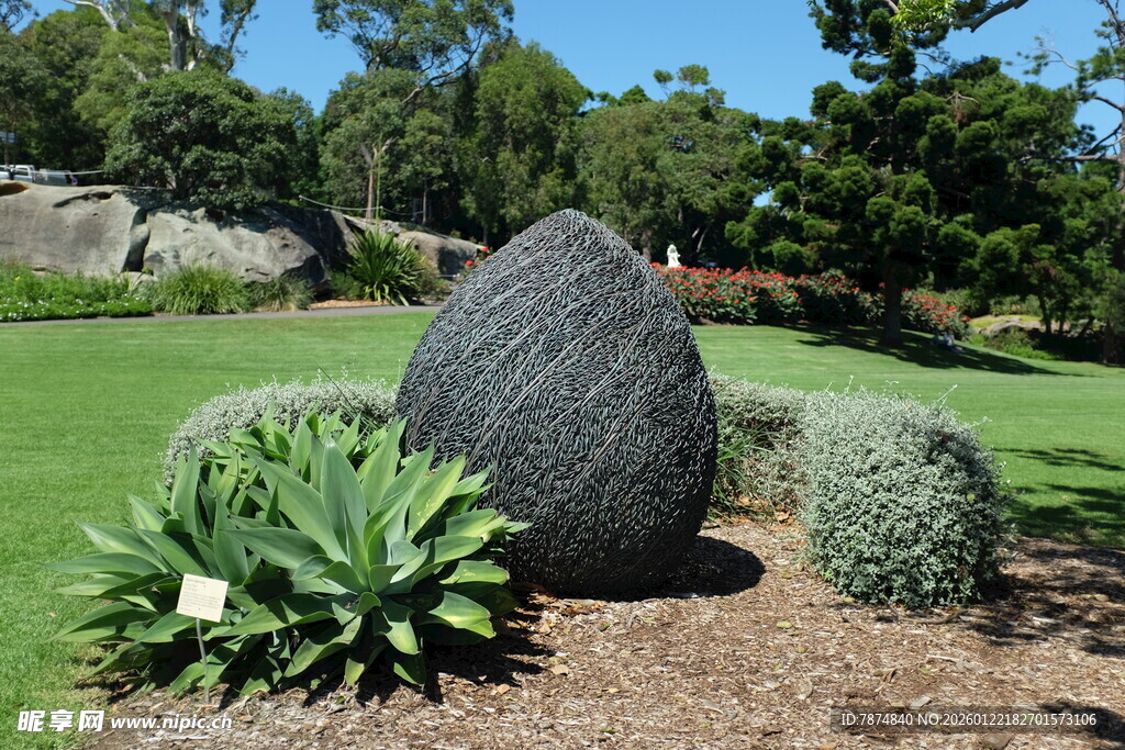 户外景观中的特色岩石植物