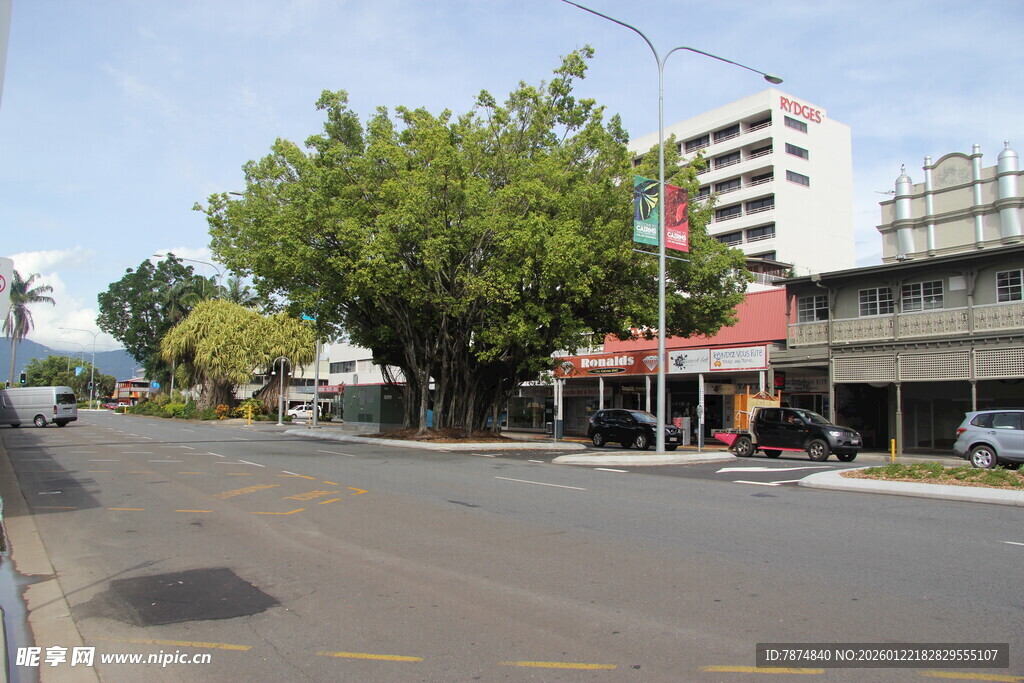 城市街道旁的绿树与建筑