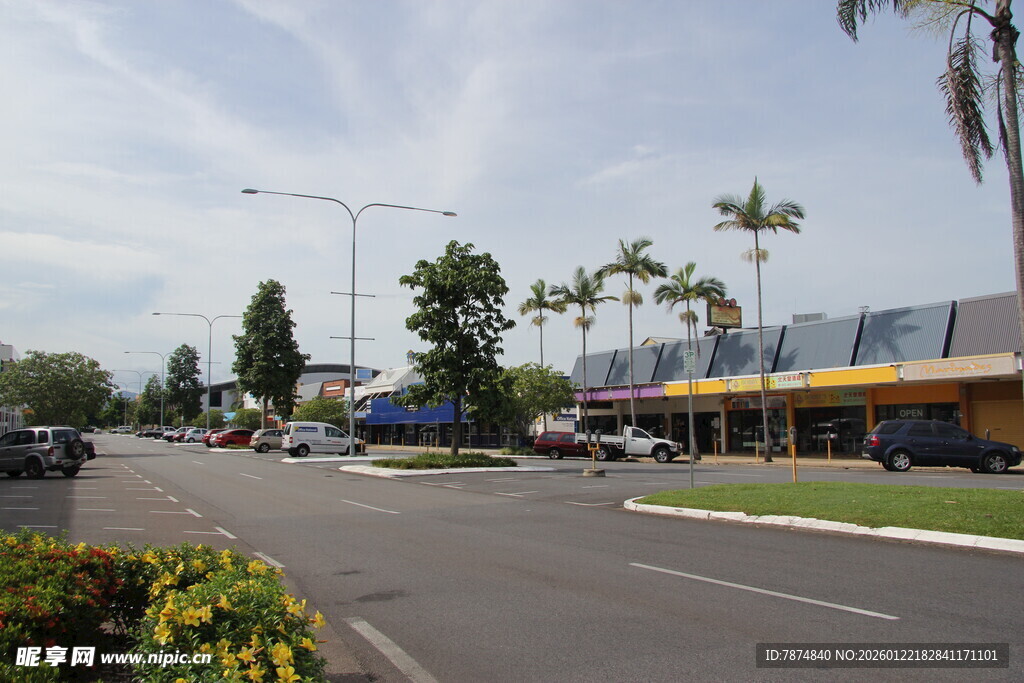 街道旁的商业及绿化景观