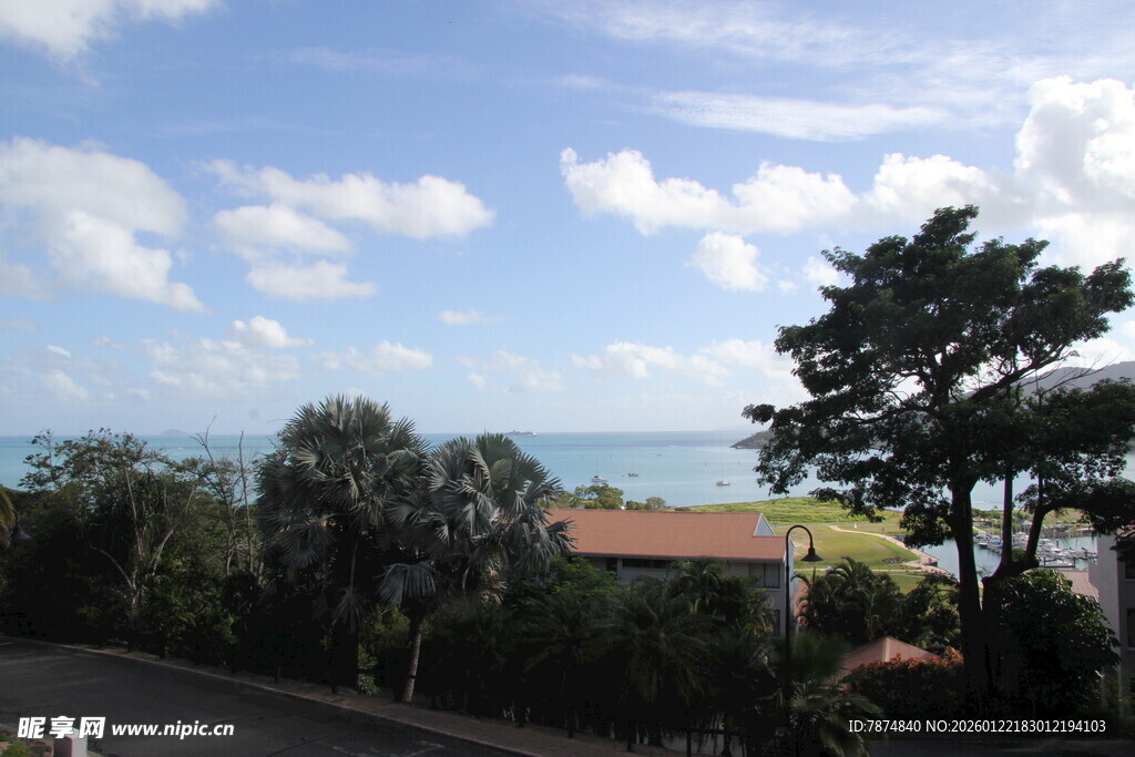 海边风景 绿树蓝天与远海