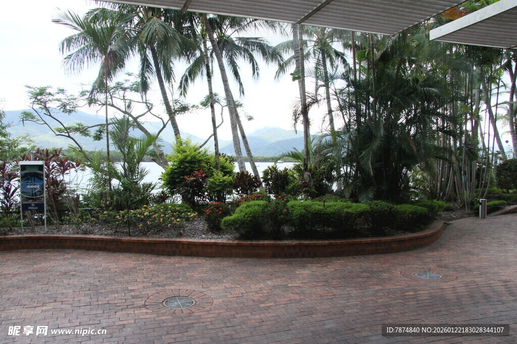 热带庭院景观 绿植环绕