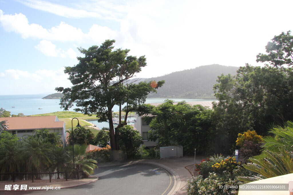 海边蜿蜒小路旁的绿植景观