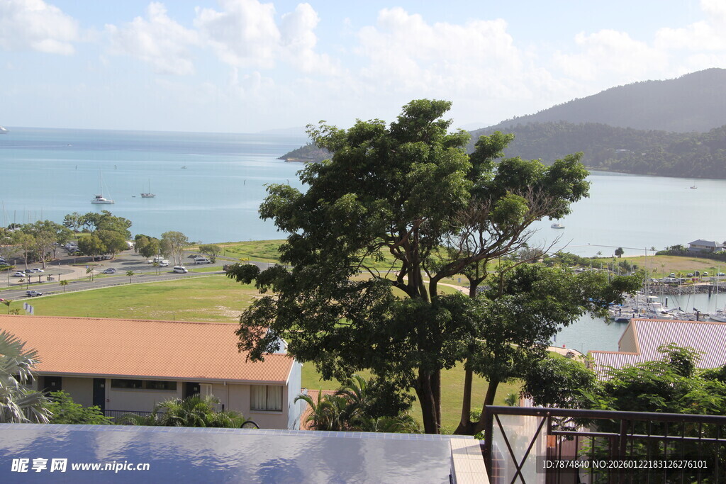 海边景致 绿树红顶房屋