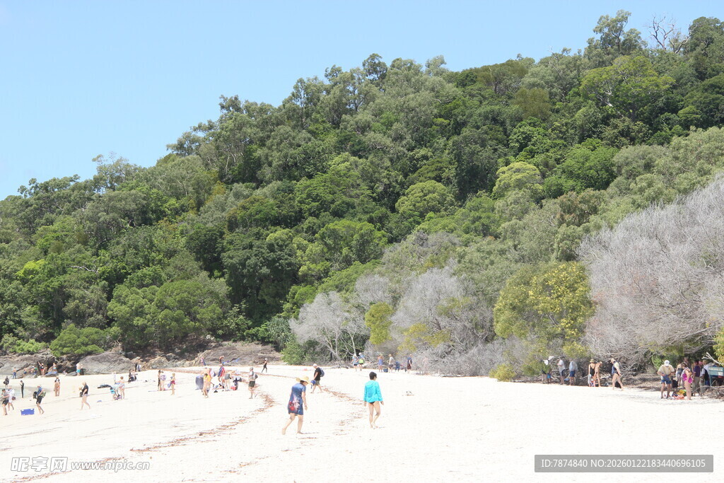 热闹的沙滩与葱郁山林