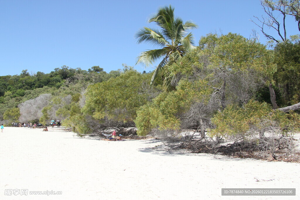 美丽沙滩与岸边葱郁树木