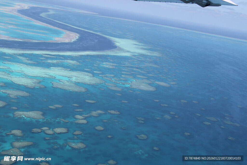 俯瞰美丽的海洋珊瑚礁