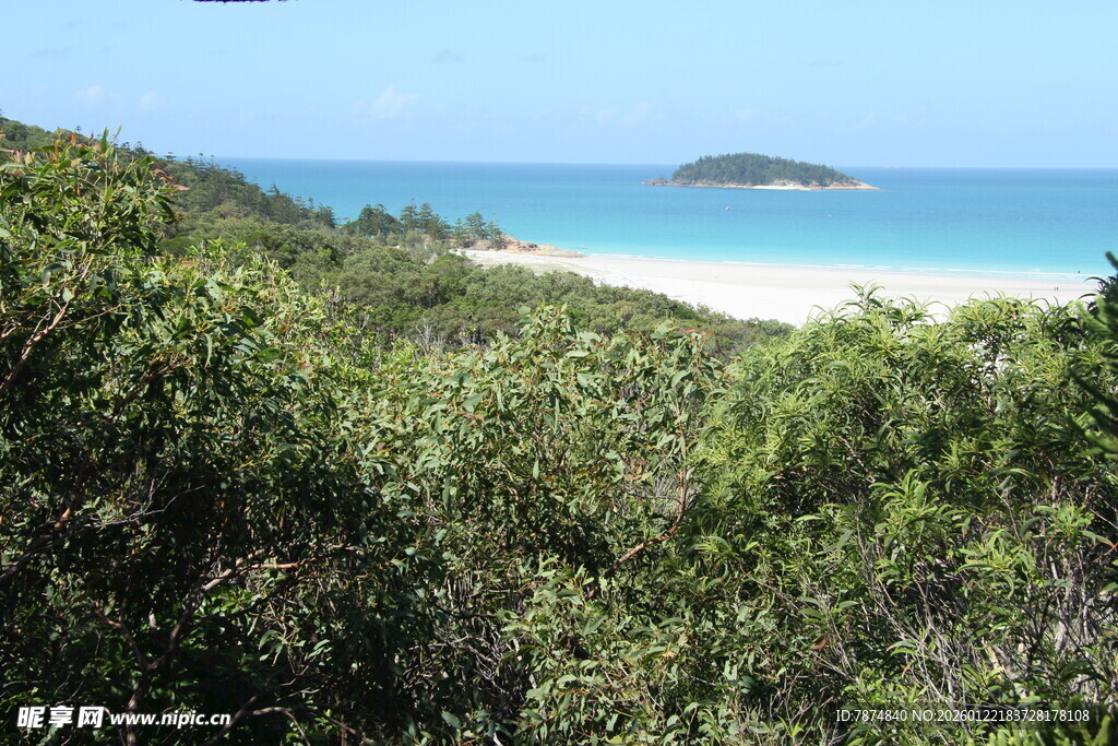 海岸边的葱郁植被与海景