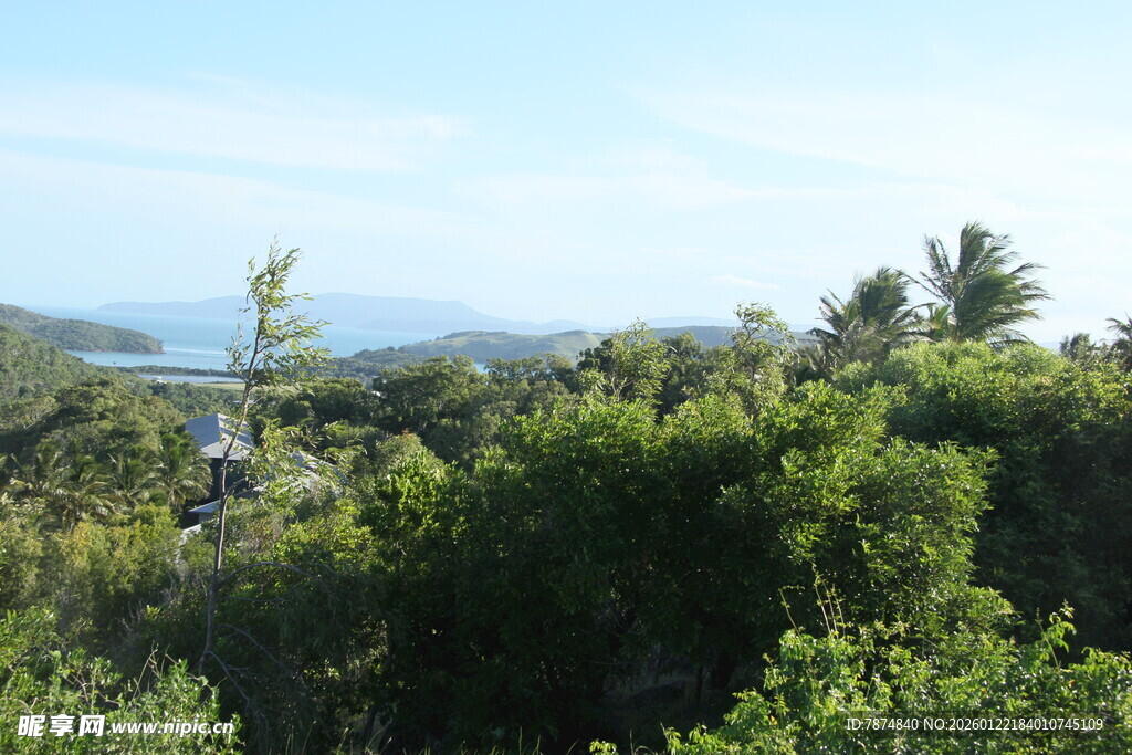俯瞰葱郁植被与远处海景