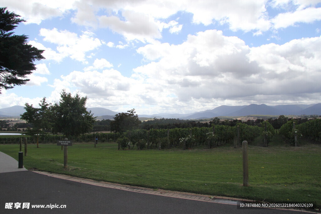 乡村公路旁的开阔田园风光