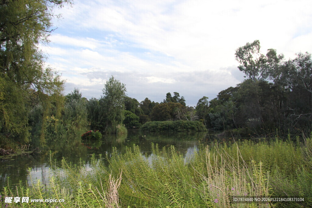 湖畔绿意盎然的自然景致