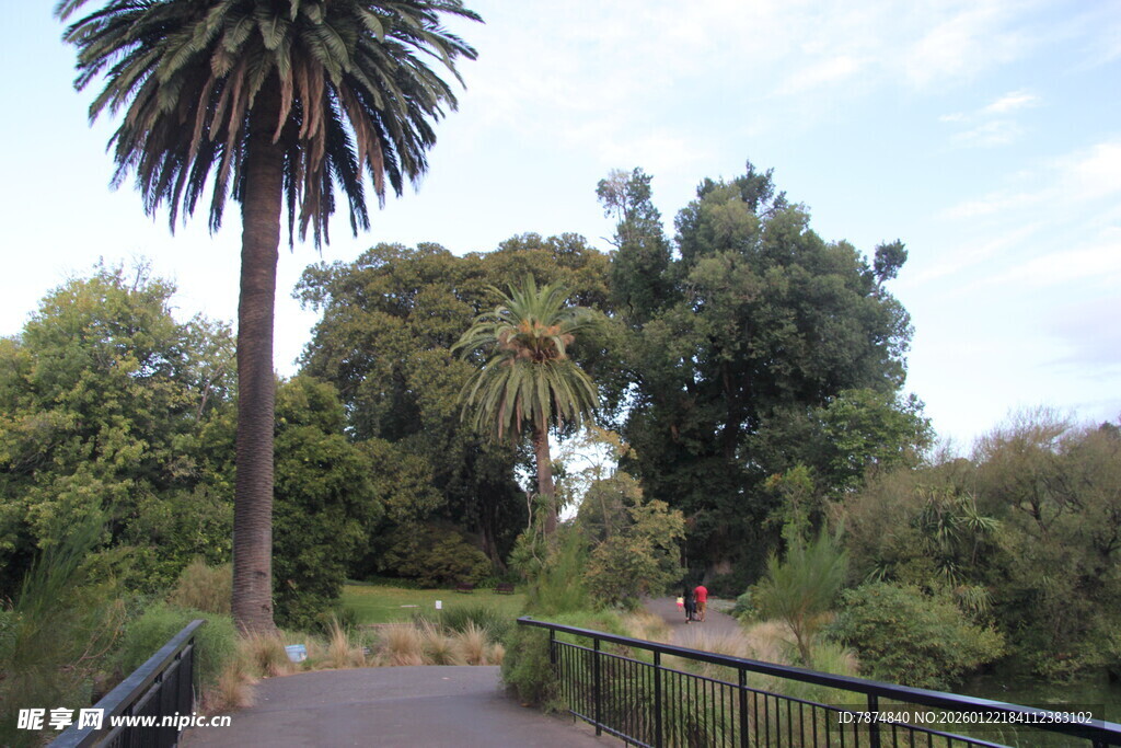 公园林荫步道景观