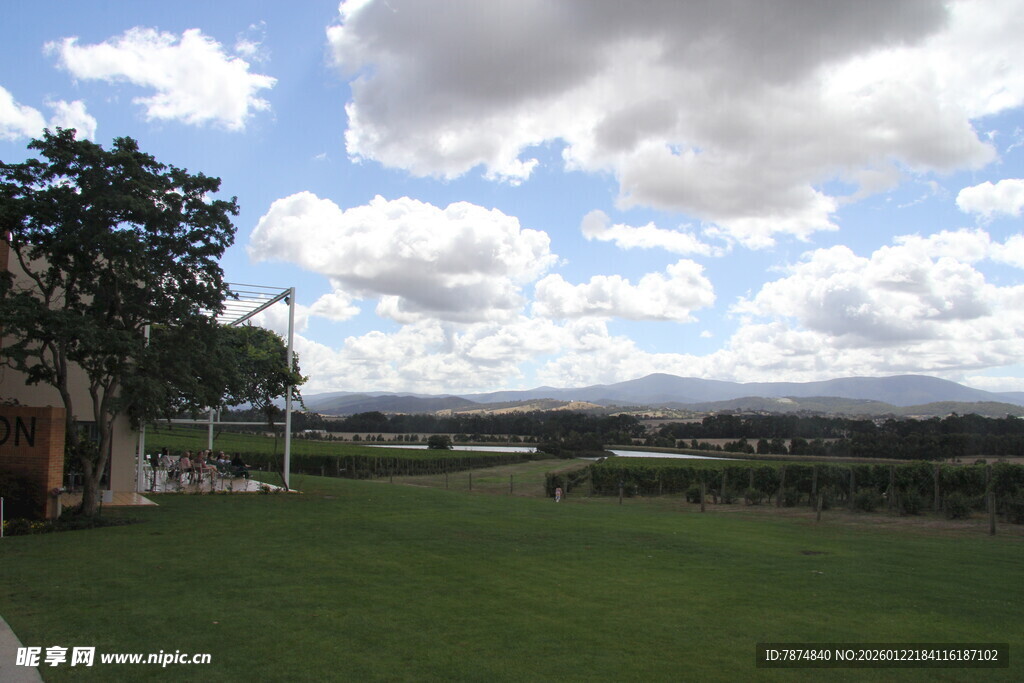 户外开阔草地与蓝天白云