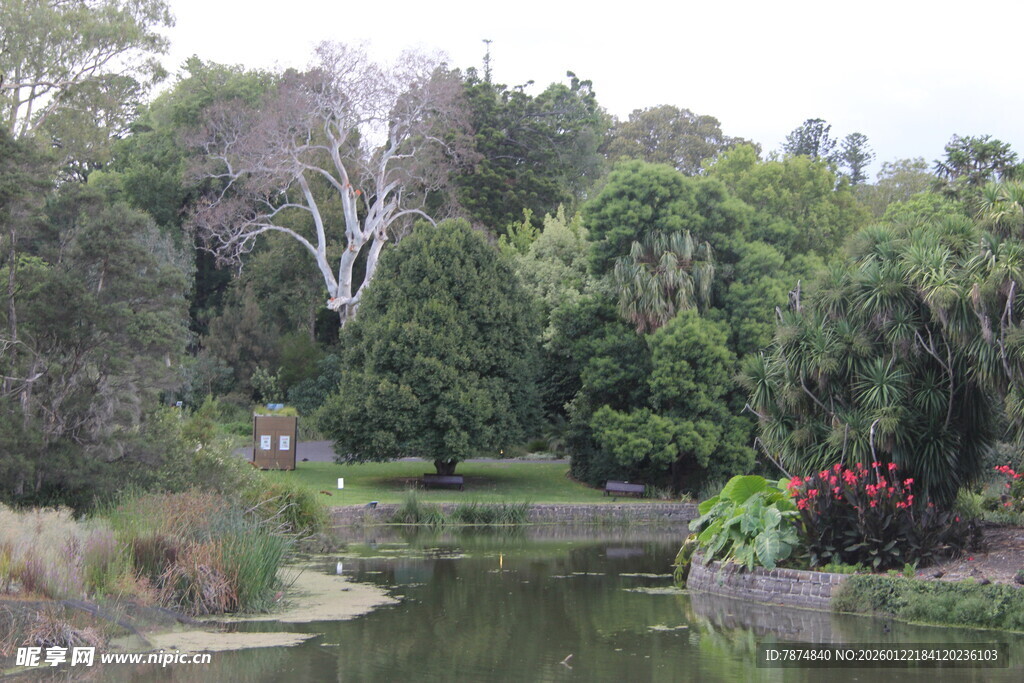 宁静河畔绿意盎然的景致