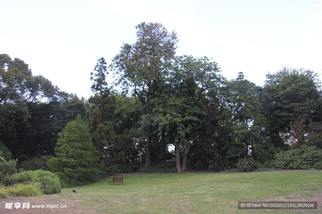 户外绿意盎然的自然场景