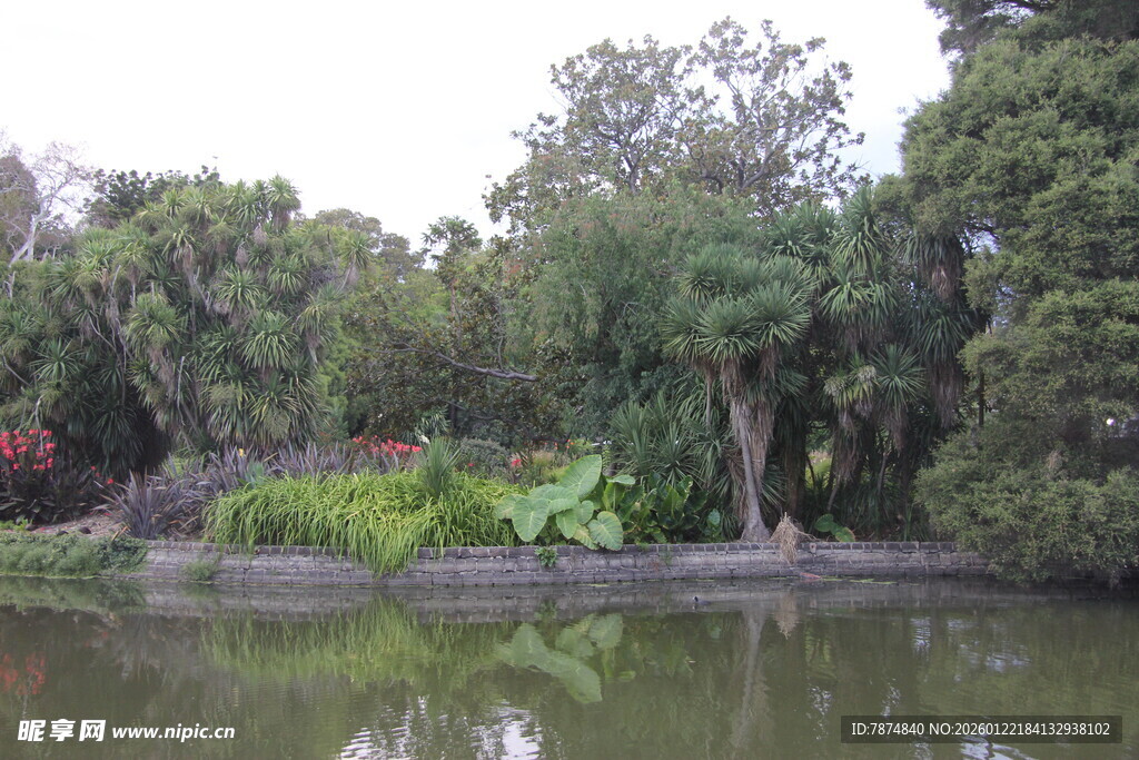 湖畔绿植环绕的静谧景致