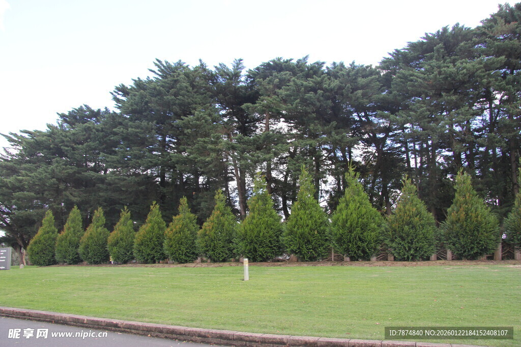 绿树成荫的开阔草地景观