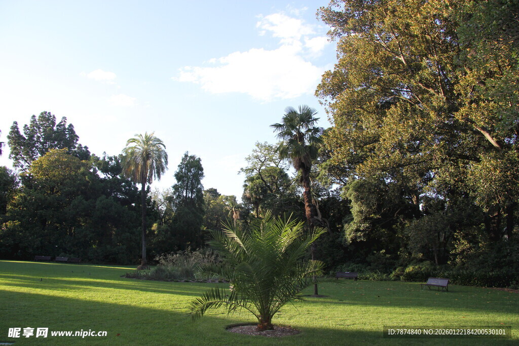 绿意盎然的户外园林景观