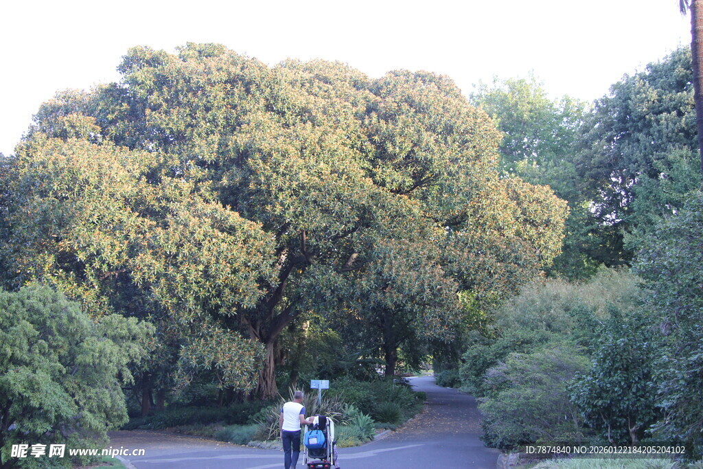 林间骑行路 绿意伴行人