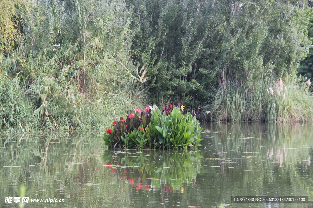 湖畔绿植映于平静水面