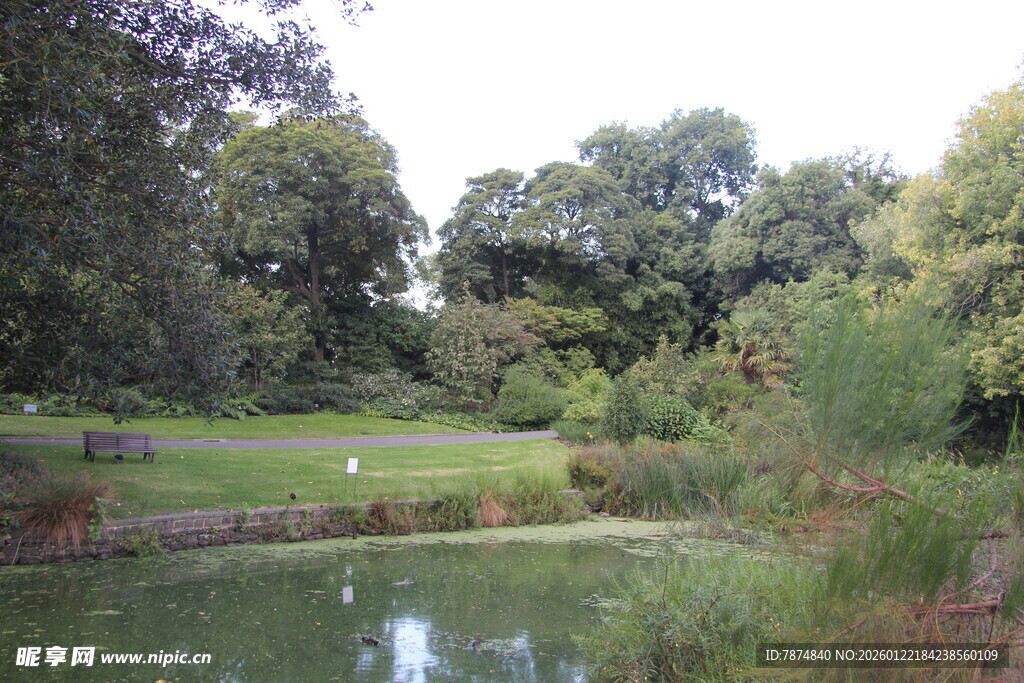 湖畔绿意盎然的自然景致