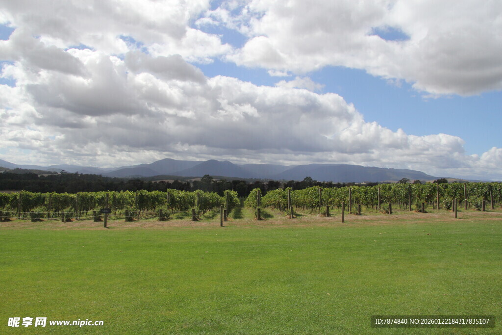 广袤绿野与远处山峦