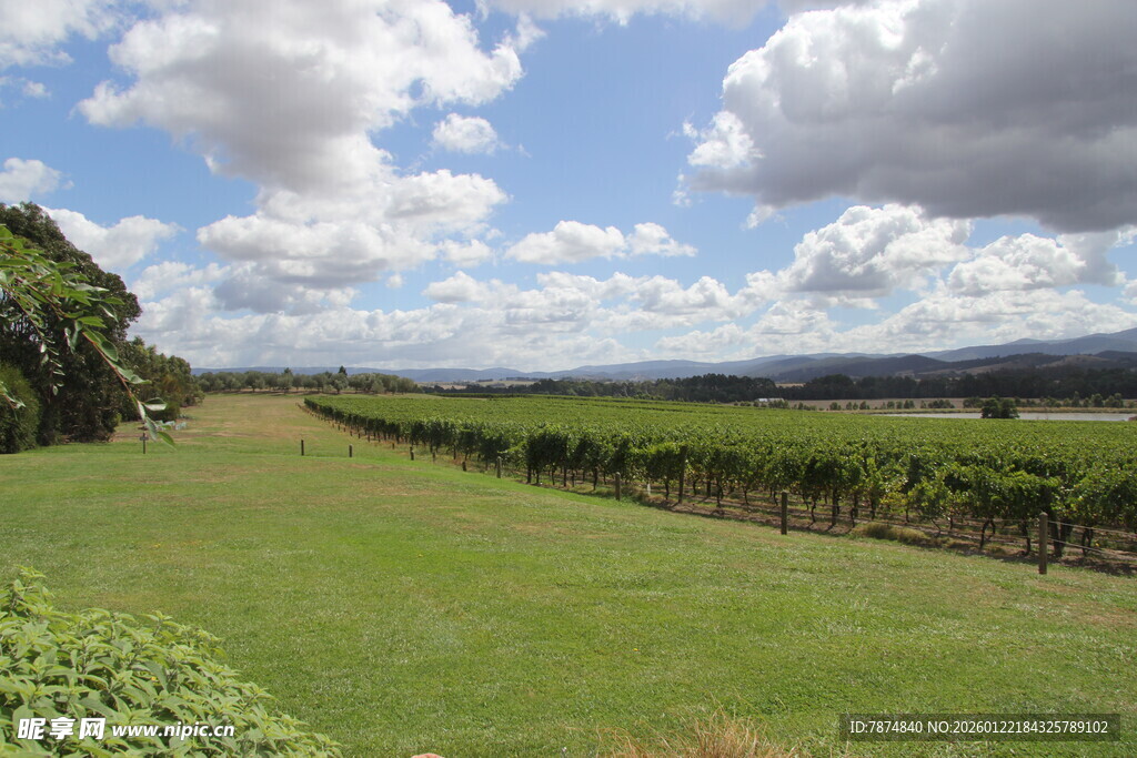 田园绿野风光景色宜人
