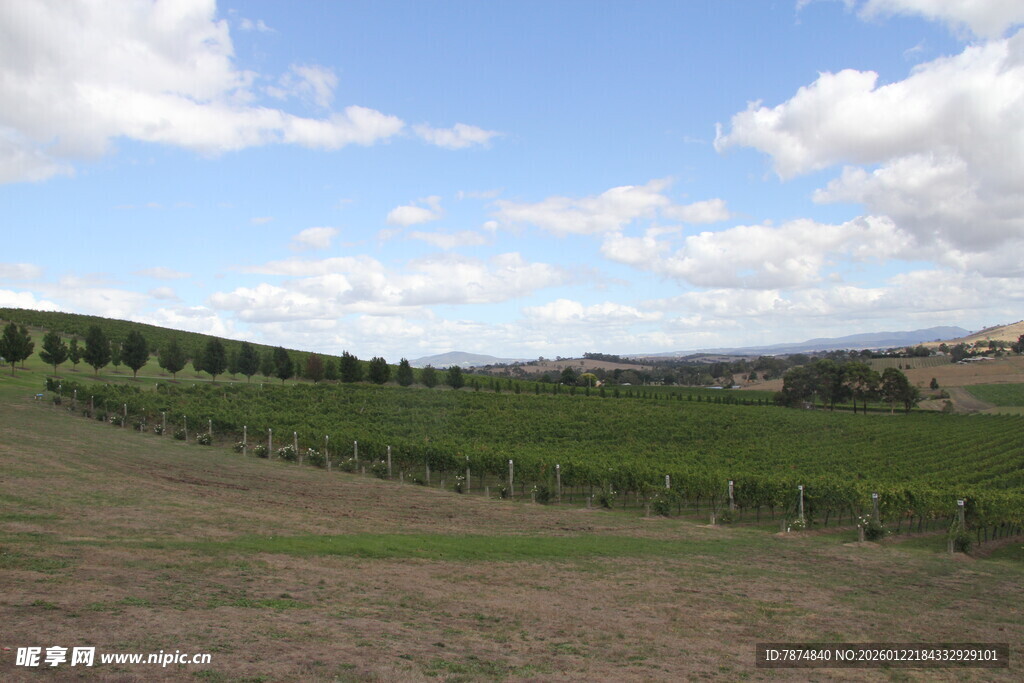 广袤田野与蓝天白云景观