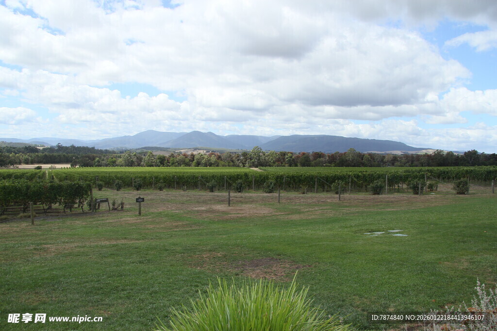 田园风光 广袤绿野与远山