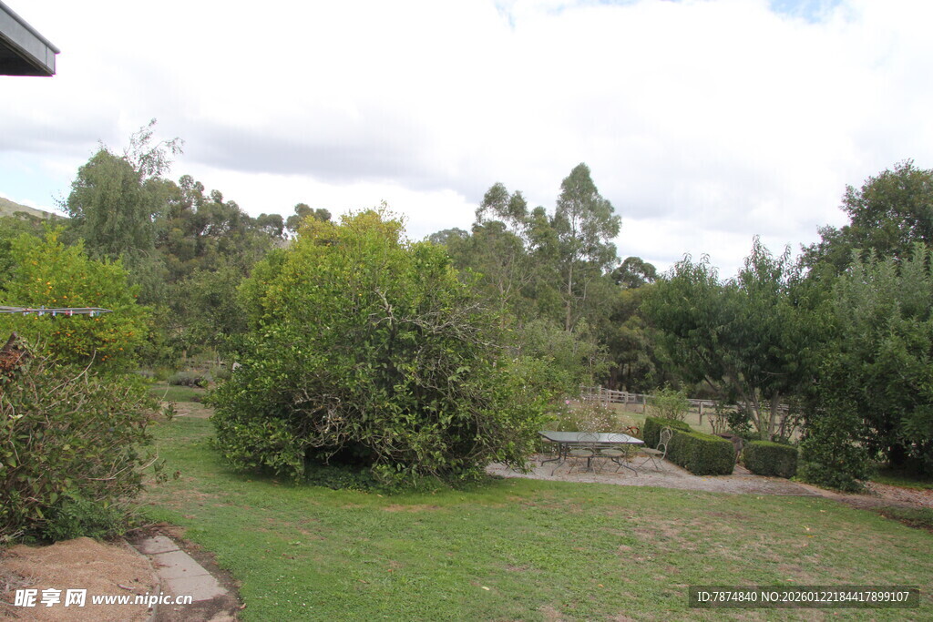 宁静庭院绿植景观