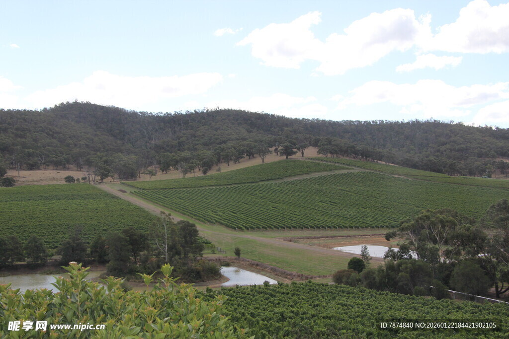 田园风光中的绿色山丘美景