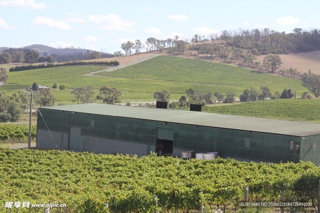 乡村葡萄园中的绿色建筑