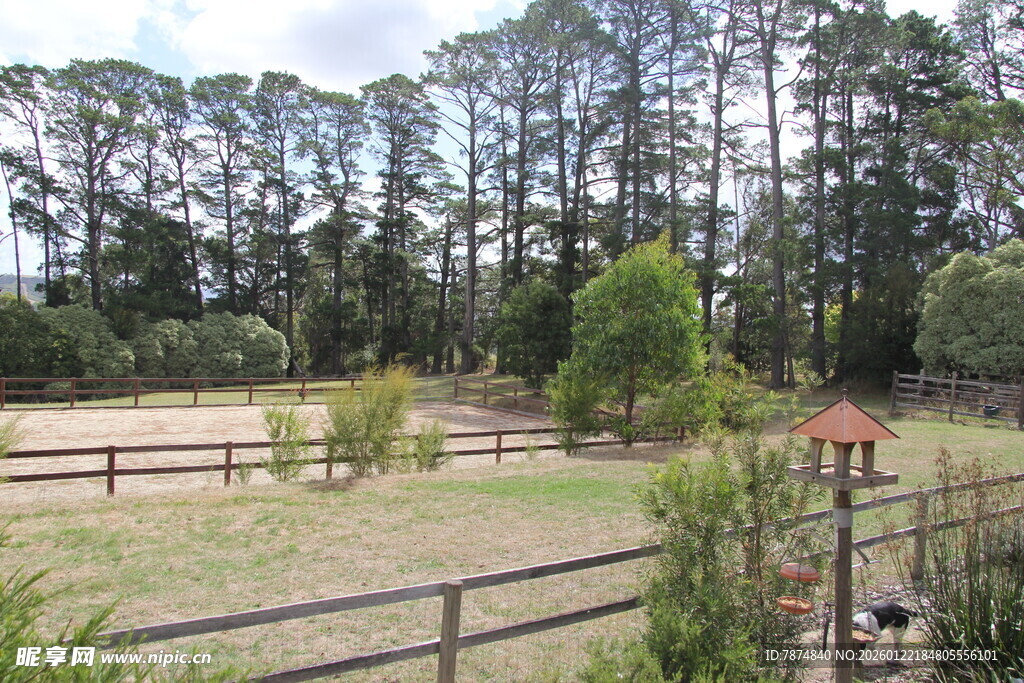 乡村田园风光 宁静小院
