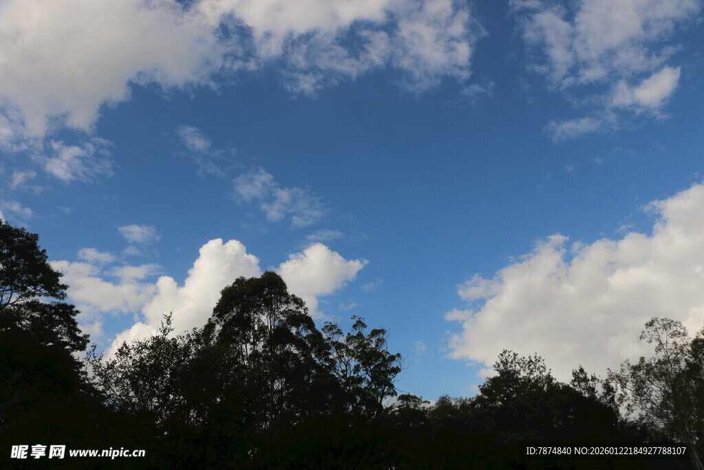 蓝天绿树间的白云美景